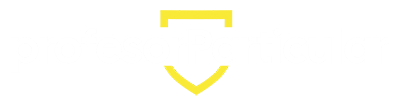 logo Profesor Particular